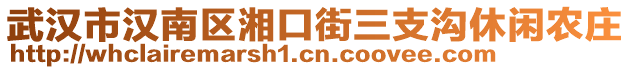 武漢市漢南區(qū)湘口街三支溝休閑農(nóng)莊