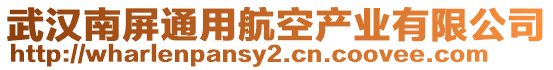 武汉南屏通用航空产业有限公司