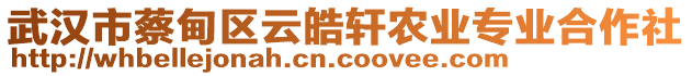 武漢市蔡甸區(qū)云皓軒農(nóng)業(yè)專(zhuān)業(yè)合作社