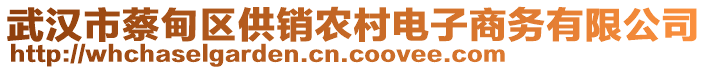 武漢市蔡甸區(qū)供銷農(nóng)村電子商務(wù)有限公司