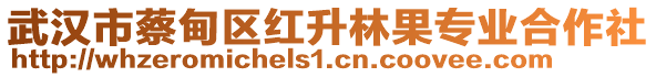 武漢市蔡甸區(qū)紅升林果專業(yè)合作社