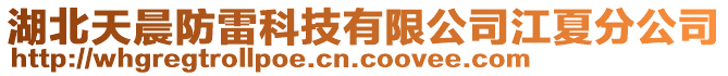 湖北天晨防雷科技有限公司江夏分公司