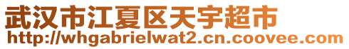 武漢市江夏區(qū)天宇超市