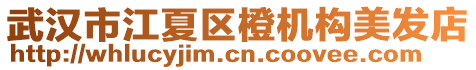 武漢市江夏區(qū)橙機(jī)構(gòu)美發(fā)店