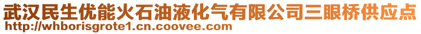 武汉民生优能火石油液化气有限公司三眼桥供应点