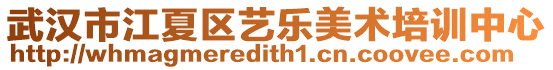 武漢市江夏區(qū)藝樂美術培訓中心