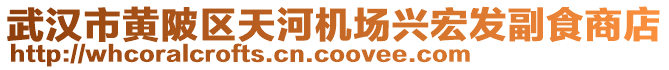 武汉市黄陂区天河机场兴宏发副食商店