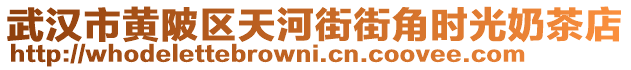 武漢市黃陂區(qū)天河街街角時(shí)光奶茶店