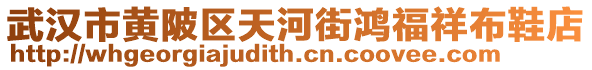 武漢市黃陂區(qū)天河街鴻福祥布鞋店