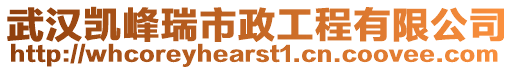 武漢凱峰瑞市政工程有限公司