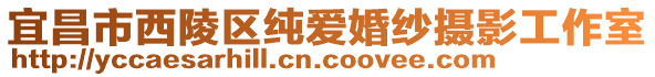 宜昌市西陵區(qū)純愛婚紗攝影工作室