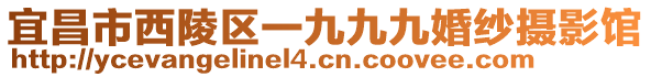 宜昌市西陵區(qū)一九九九婚紗攝影館