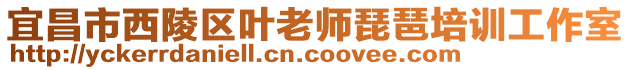 宜昌市西陵區(qū)葉老師琵琶培訓工作室