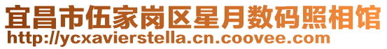 宜昌市伍家崗區星月數碼照相館