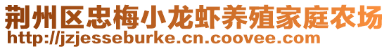 荊州區(qū)忠梅小龍蝦養(yǎng)殖家庭農(nóng)場