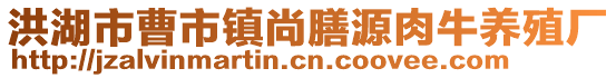 洪湖市曹市镇尚膳源肉牛养殖厂