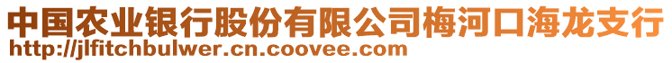 中國農(nóng)業(yè)銀行股份有限公司梅河口海龍支行