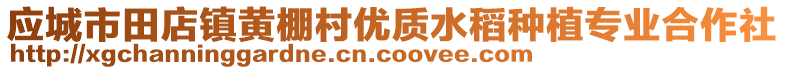 應(yīng)城市田店鎮(zhèn)黃棚村優(yōu)質(zhì)水稻種植專業(yè)合作社