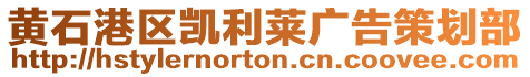 黃石港區凱利萊廣告策劃部