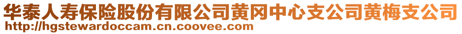 華泰人壽保險(xiǎn)股份有限公司黃岡中心支公司黃梅支公司