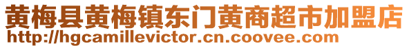 黃梅縣黃梅鎮(zhèn)東門(mén)黃商超市加盟店