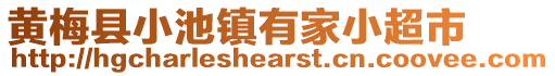 黃梅縣小池鎮(zhèn)有家小超市