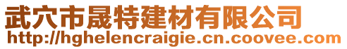 武穴市晟特建材有限公司