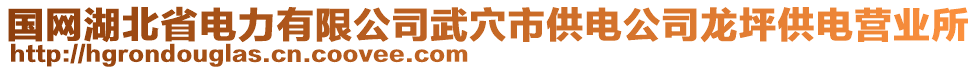 國網(wǎng)湖北省電力有限公司武穴市供電公司龍坪供電營業(yè)所