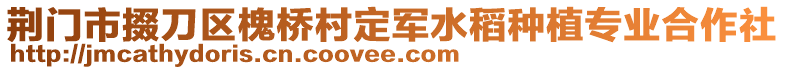 荆门市掇刀区槐桥村定军水稻种植专业合作社