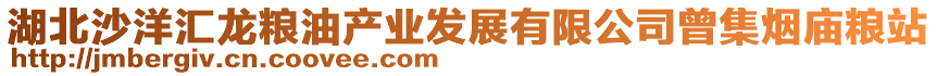 湖北沙洋匯龍糧油產(chǎn)業(yè)發(fā)展有限公司曾集煙廟糧站