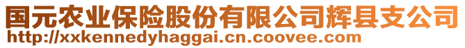 國(guó)元農(nóng)業(yè)保險(xiǎn)股份有限公司輝縣支公司