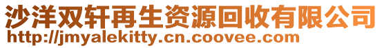 沙洋雙軒再生資源回收有限公司