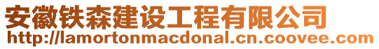 安徽鐵森建設工程有限公司