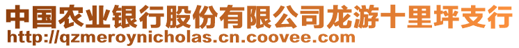 中国农业银行股份有限公司龙游十里坪支行