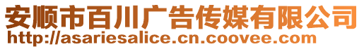 安順市百川廣告?zhèn)髅接邢薰? style=