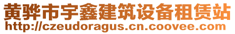 黄骅市宇鑫建筑设备租赁站