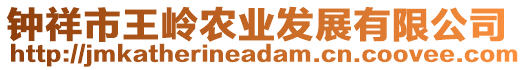 鐘祥市王嶺農(nóng)業(yè)發(fā)展有限公司