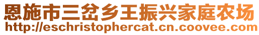 恩施市三岔鄉(xiāng)王振興家庭農(nóng)場