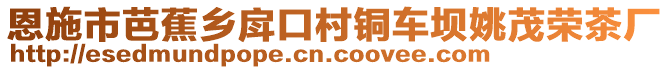 恩施市芭蕉鄉(xiāng)戽口村銅車壩姚茂榮茶廠