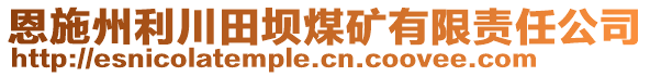 恩施州利川田壩煤礦有限責(zé)任公司