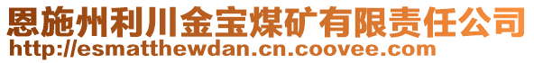 恩施州利川金寶煤礦有限責(zé)任公司