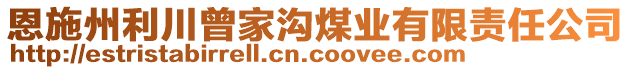 恩施州利川曾家溝煤業(yè)有限責(zé)任公司