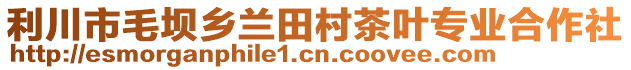 利川市毛壩鄉(xiāng)蘭田村茶葉專業(yè)合作社