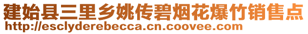 建始縣三里鄉(xiāng)姚傳碧煙花爆竹銷售點(diǎn)