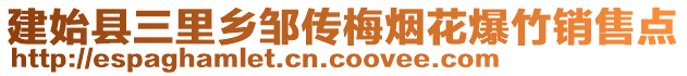 建始縣三里鄉(xiāng)鄒傳梅煙花爆竹銷售點(diǎn)