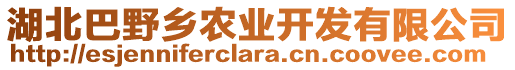 湖北巴野鄉(xiāng)農(nóng)業(yè)開發(fā)有限公司