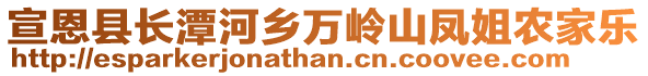 宣恩縣長潭河鄉(xiāng)萬嶺山鳳姐農(nóng)家樂