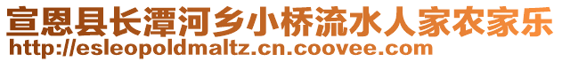 宣恩縣長(zhǎng)潭河鄉(xiāng)小橋流水人家農(nóng)家樂(lè)