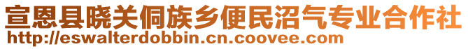 宣恩縣曉關(guān)侗族鄉(xiāng)便民沼氣專業(yè)合作社