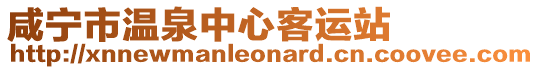 咸寧市溫泉中心客運(yùn)站